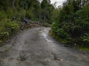 Imagen 9