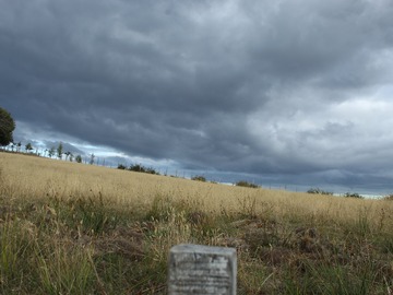 Venta / Parcela / Chonchi
