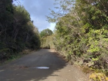 Imagen 5