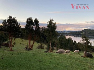 Imagen 4
