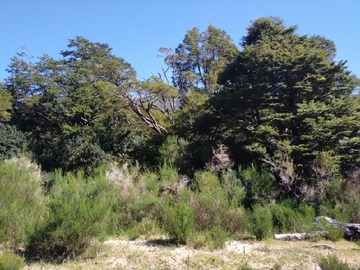 Imagen 3