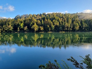 Venta / Parcela / Cisnes