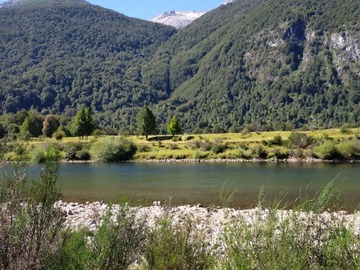 Imagen 4