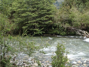 Venta / Parcela / Cisnes