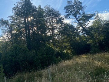 Venta / Parcela / Cisnes