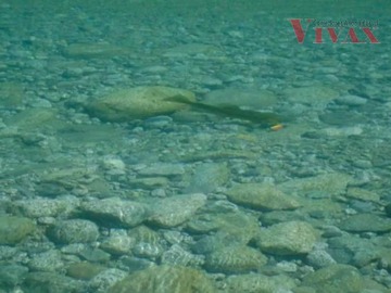 Imagen 7