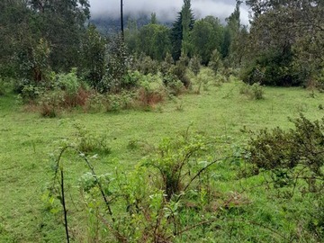 Imagen 10