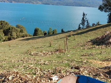 Venta / Parcela / Cochamó