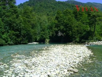 Imagen 8