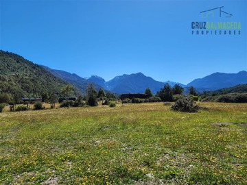 Imagen 6