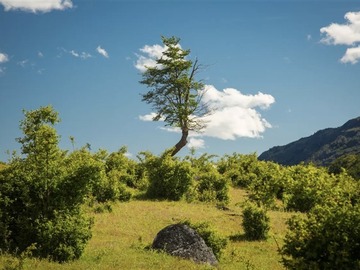 Venta / Parcela / Cochrane