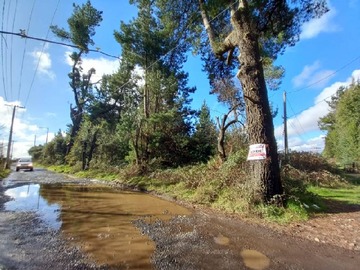 Imagen 18