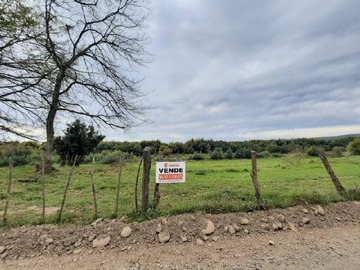 Imagen 12