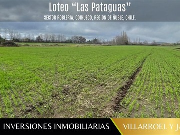 Venta / Parcela / Coihueco