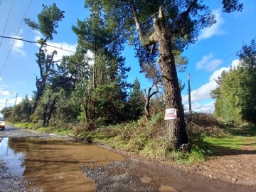Venta / Parcela / Coihueco