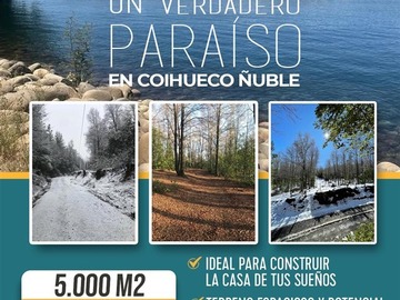Venta / Parcela / Coihueco