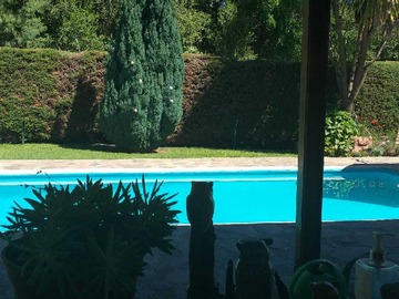 Imagen 15