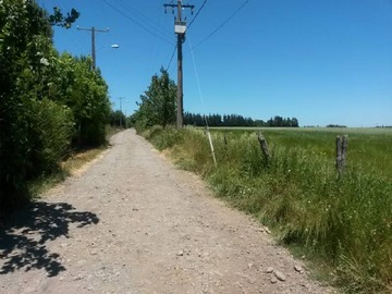 Imagen 12