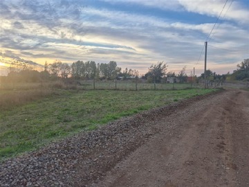 Venta / Parcela / Coihueco
