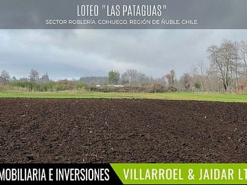 Imagen 8