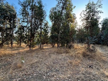 Venta / Parcela / Coihueco