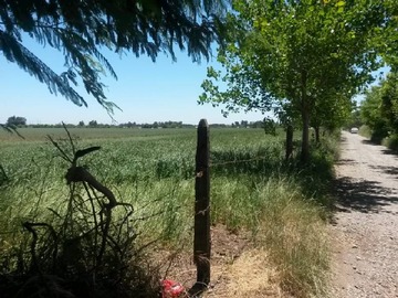 Imagen 11