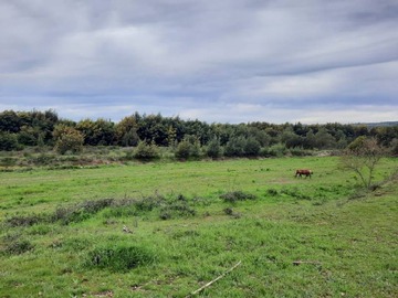 Imagen 10