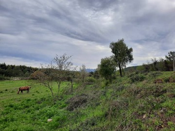 Imagen 17