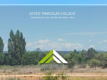 Venta / Parcela / Coihueco