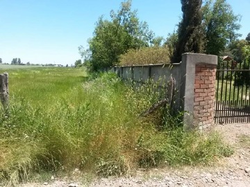Imagen 6