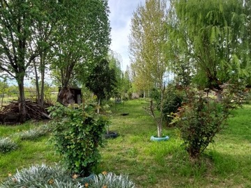 Imagen 18