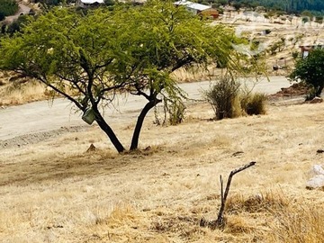 Imagen 20