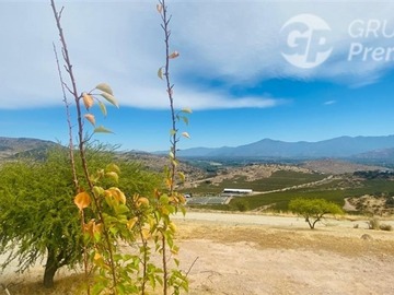 Imagen 19