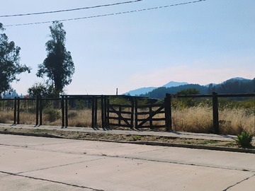 Imagen 10