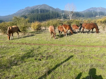 Imagen 16