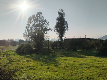 Imagen 12