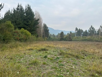 Imagen 7