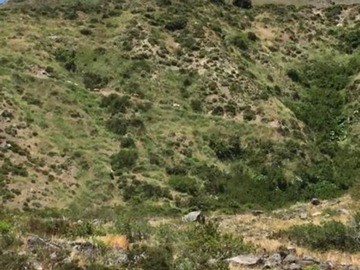 Imagen 7