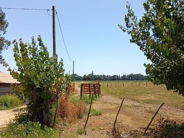 Venta / Parcela / Colbún