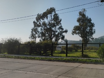 Imagen 9