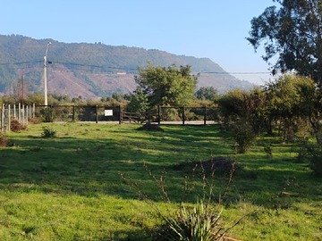 Imagen 5