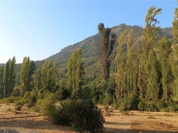 Venta / Parcela / Colbún