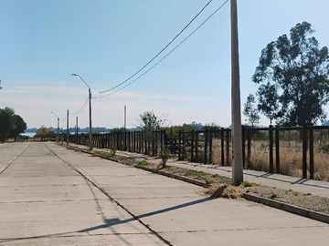 Imagen 11