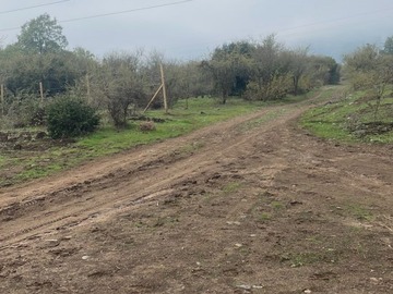Imagen 12