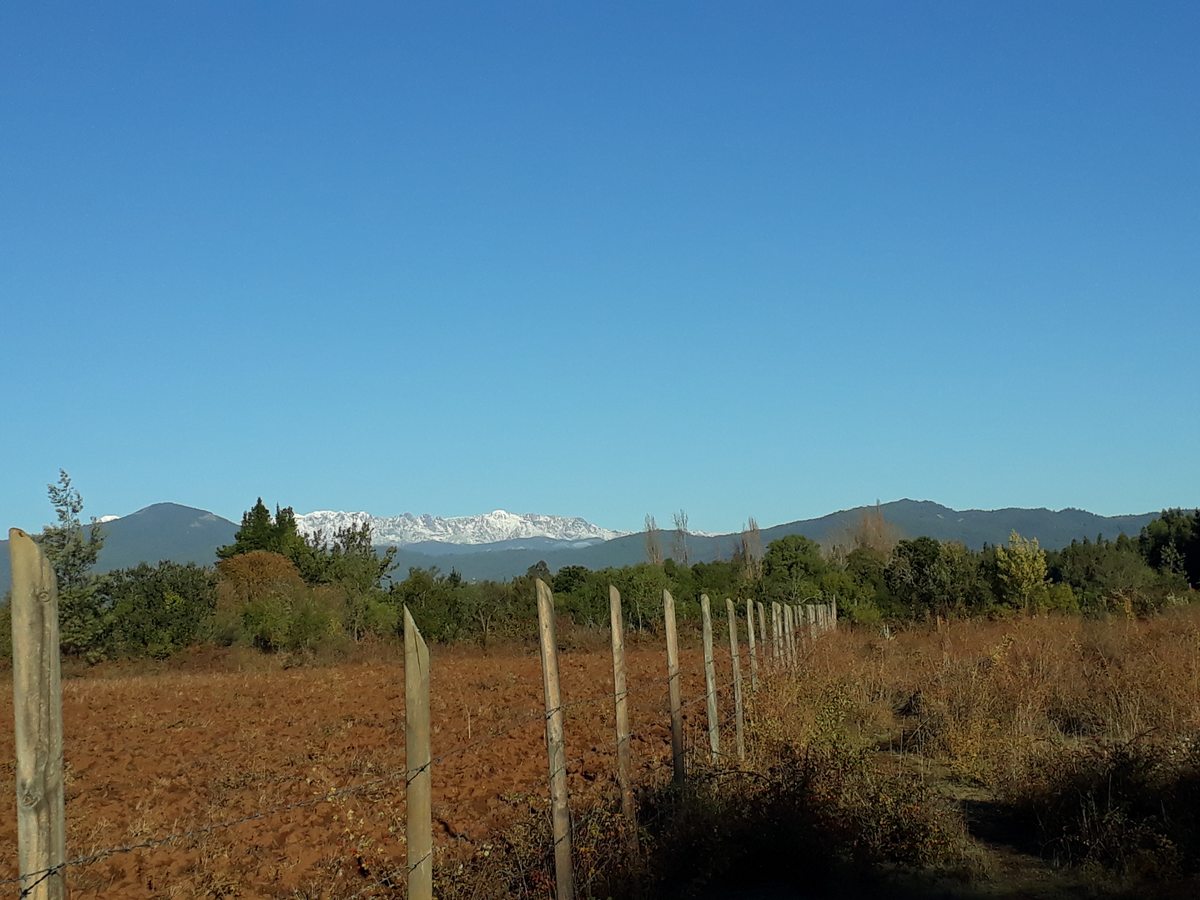 Colinde al norte