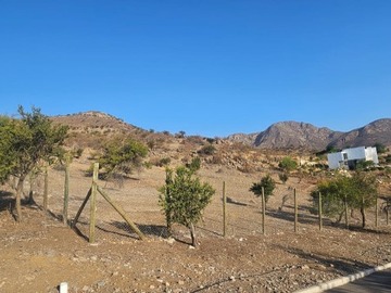 Imagen 4