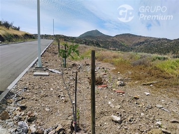 Imagen 9