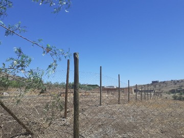 Imagen 6