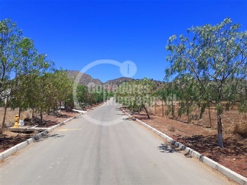 Venta / Parcela / Colina