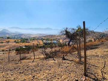 Imagen 8